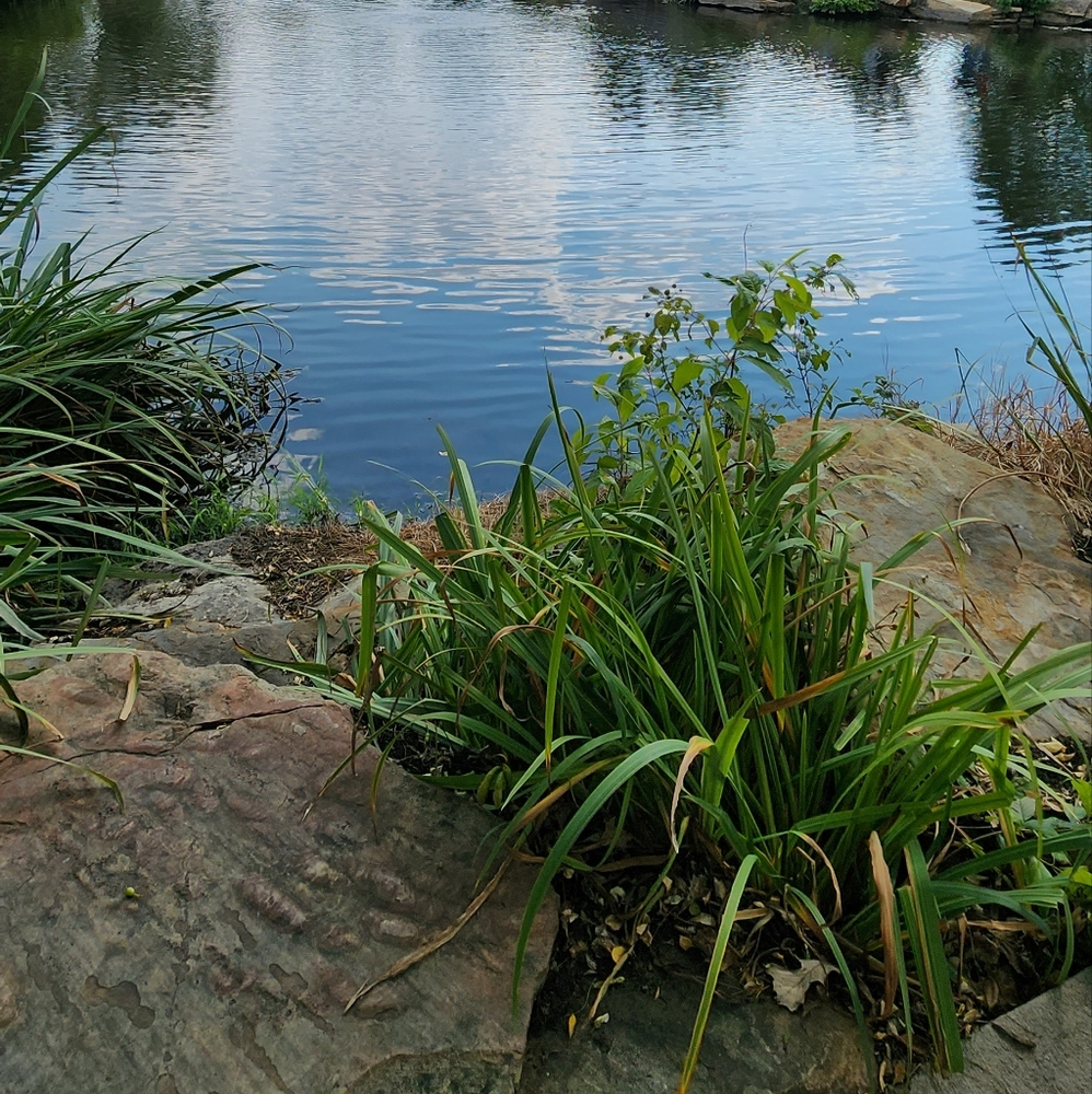 Meet your Posher, Debra